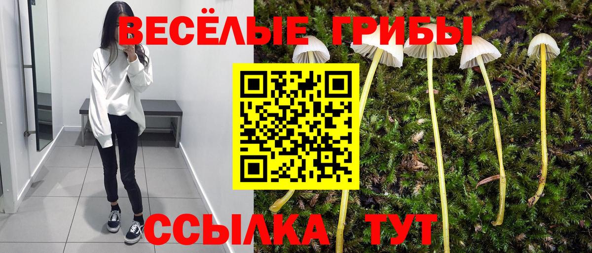 Псилоцибиновые грибы GOLDEN TEACHER Губкинский